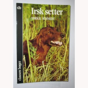 Irsk setter
