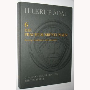 Illerup dal 6 Die Prachtausrüstungen
