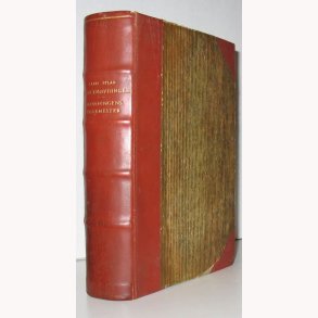 Gjngehvdingen + Dronningens vagtmester i 1 bind