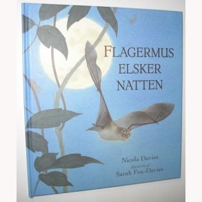 Flagermus elsker natten