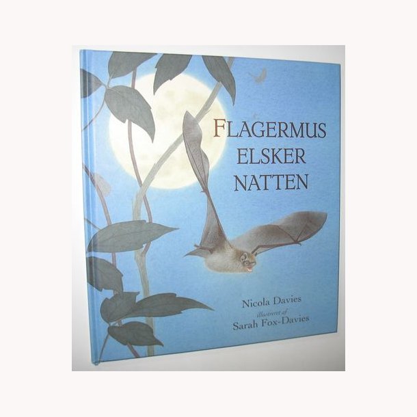 Flagermus elsker natten