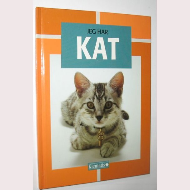 Jeg har kat