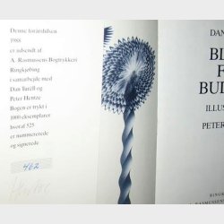 Blues for Buddha: Dan Turll 