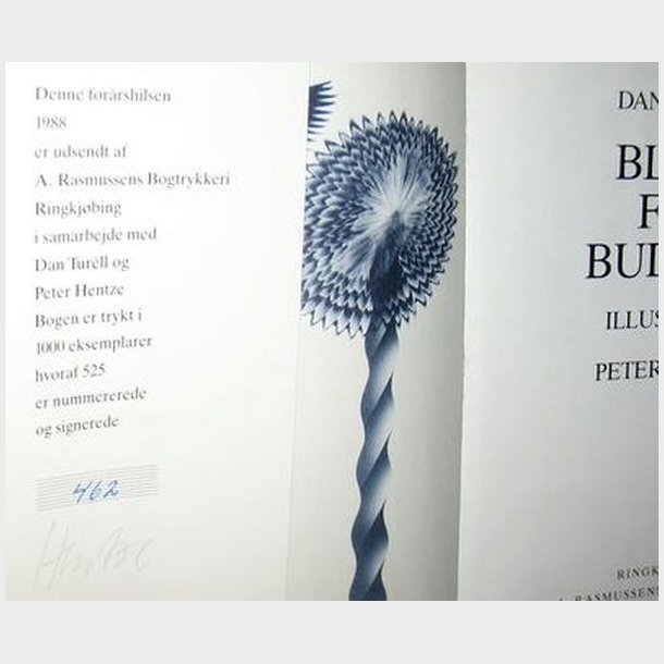 Blues for Buddha: Dan Turll 