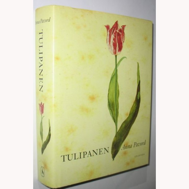 Tulipanen