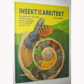 Insekt og arkitekt