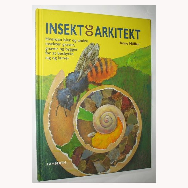 Insekt og arkitekt
