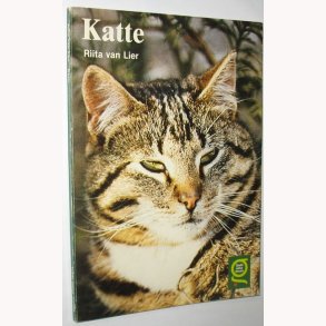 Katte