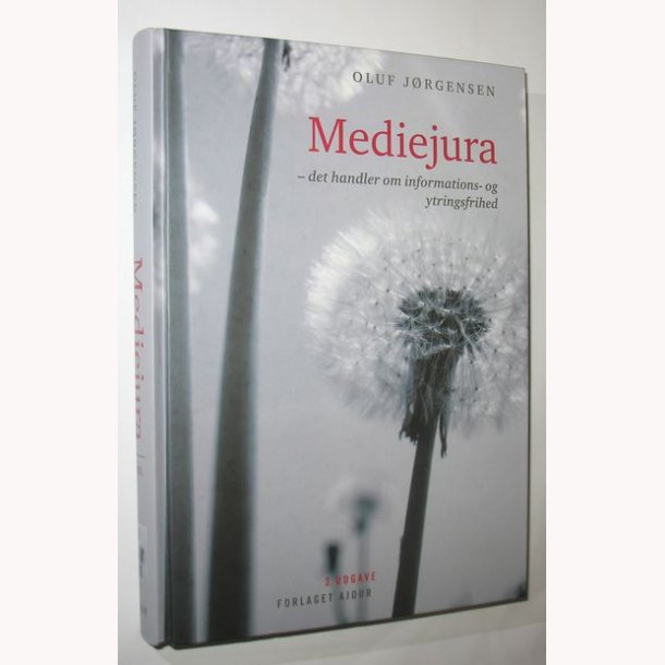 Mediejura