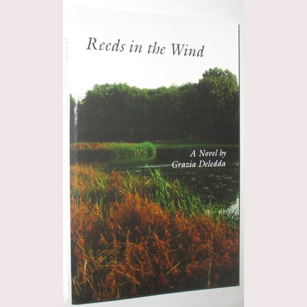 Reeds in the Wind