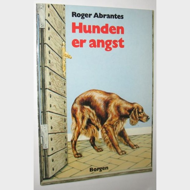 Hunden er angst: Roger Abrantes