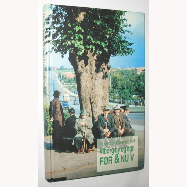 Viborg by og egn Fr &amp; nu V