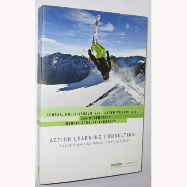 Action learning Consulting