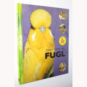 Sdan holder jeg fugl