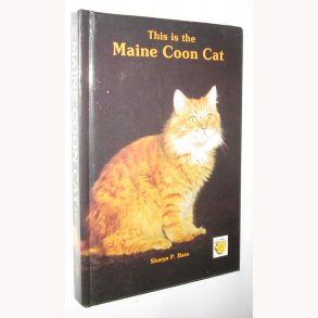 This is the Maine Coon Cat