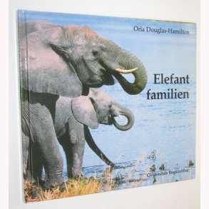 Elefantfamilien
