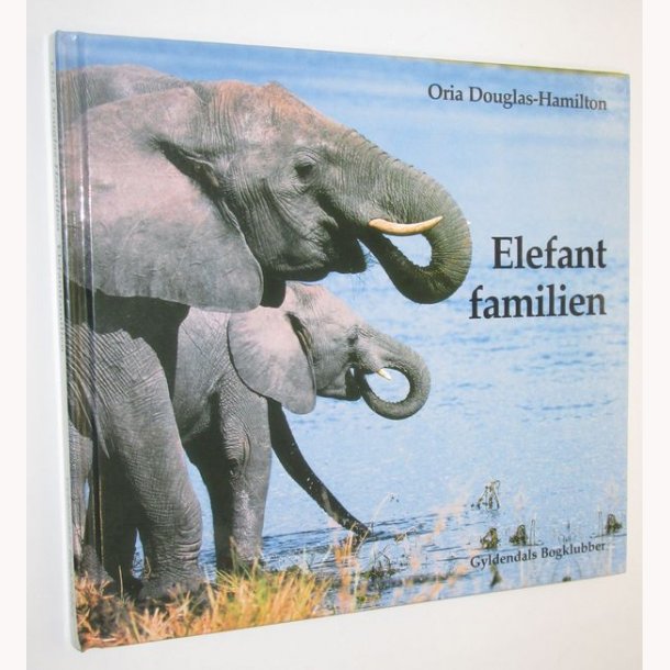 Elefantfamilien