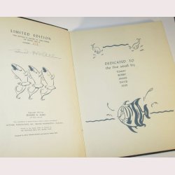 Dancing tails and other Fishy Jingles