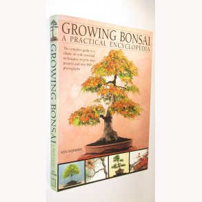 Growing Bonsai
