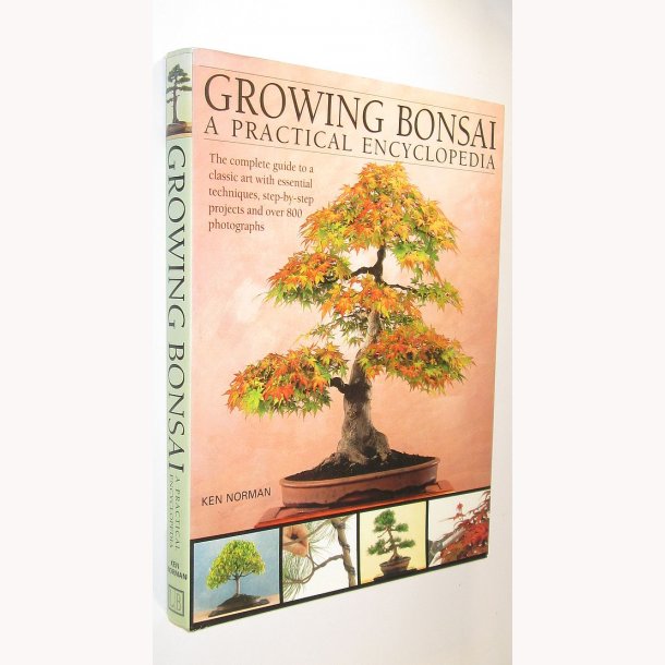 Growing Bonsai