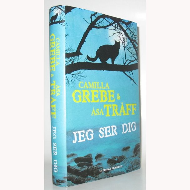 Jeg ser dig