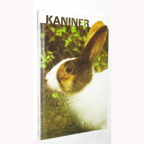 Kaniner