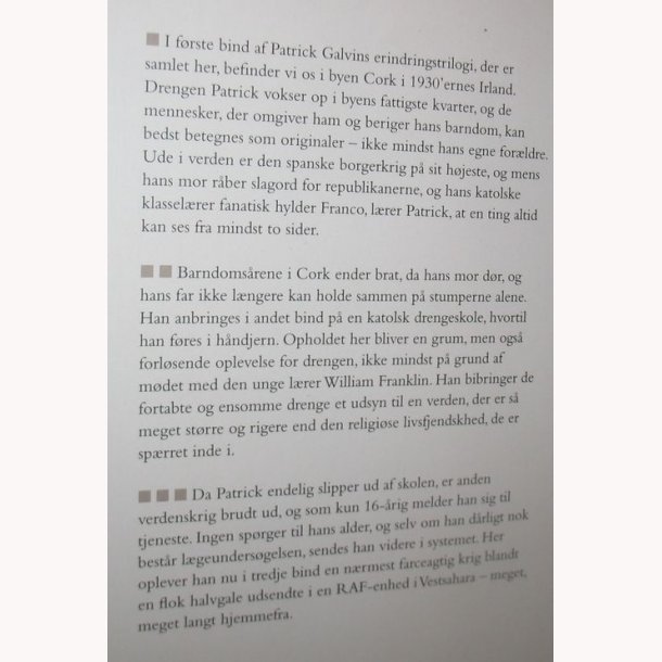 Sang til en rakkerdreng