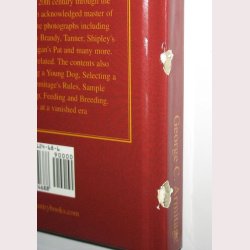 Thirty Years With Fighting Dogs