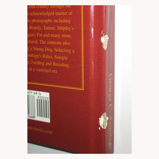 Thirty Years With Fighting Dogs