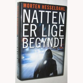 Natten er lige begyndt