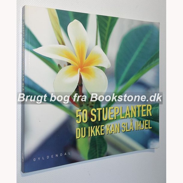 50 stueplanter du ikke kan sl ihjel
