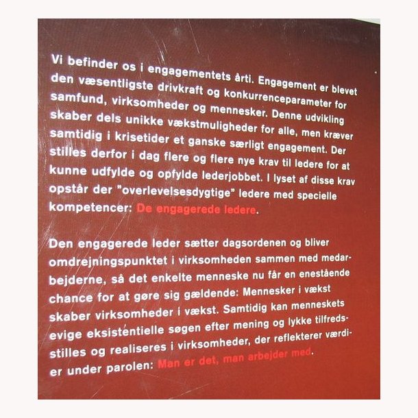 Den engangerede leder - lidenskabens magt