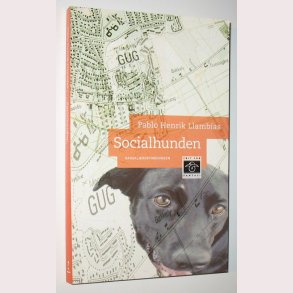 Socialhunden