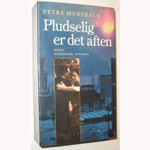 Pludselig er det aften