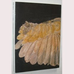 Frank &amp; Fuglefri