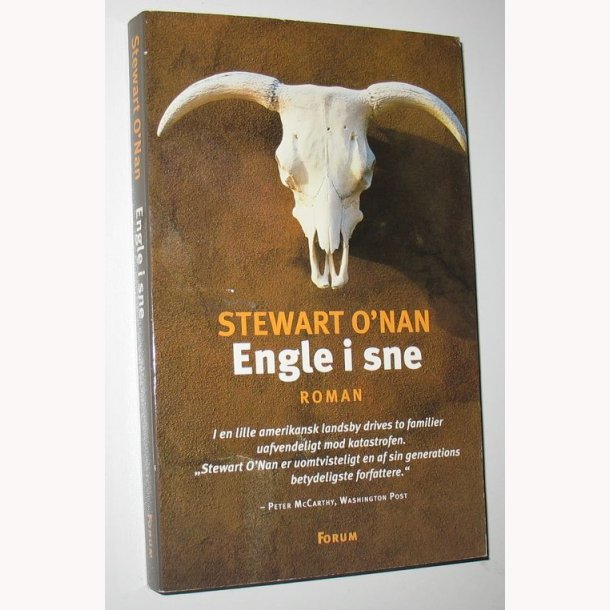 Engle i sne