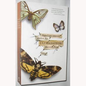 Srlige emner inden for ulykkesteori