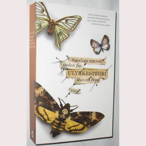 Srlige emner inden for ulykkesteori