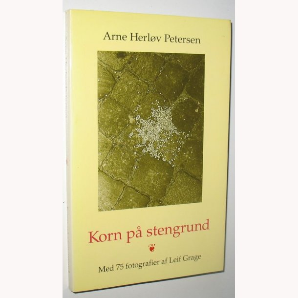 Korn p stengrund