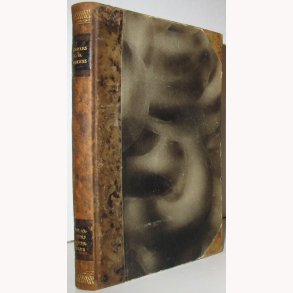 Polarisens behersker