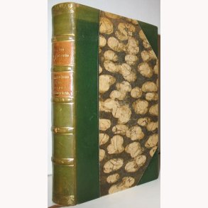 I tavshedens rige + kampen i vildmarken