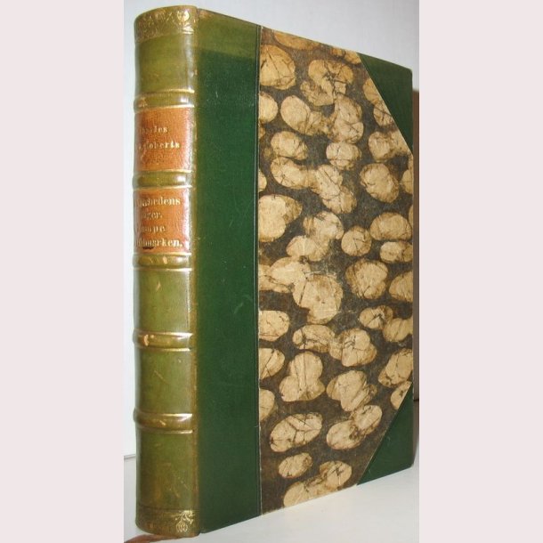 I tavshedens rige + kampen i vildmarken