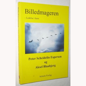 Billedmageren - Ledelse i kaos