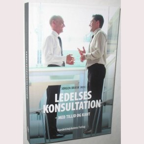 Ledelseskonsultation med tillid og kant