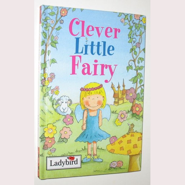 Clever Little Fairy