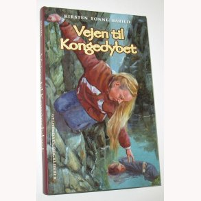 Vejen til Kongedybet