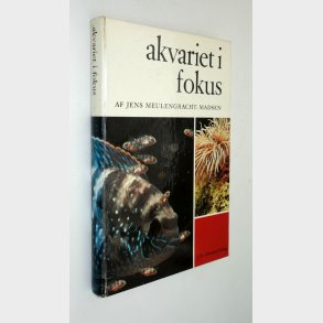 Akvariet i fokus: Jens Meulengracht-Madsen