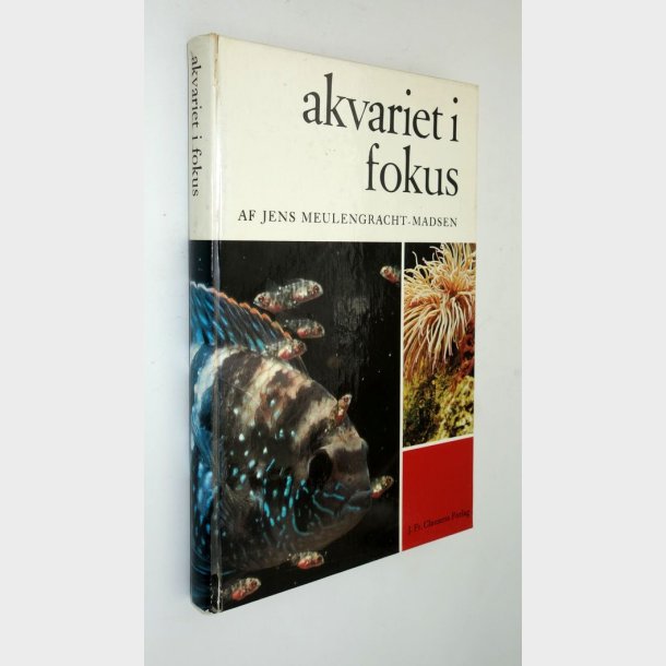 Akvariet i fokus: Jens Meulengracht-Madsen