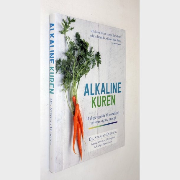 Alkaline-kuren: Stephan Domenig