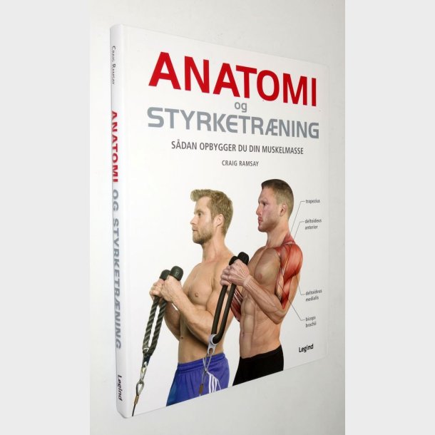 Anatomi og styrketrning: Craig Ramsay